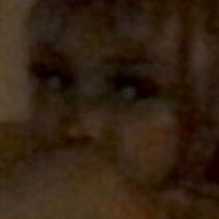 Kittypet Nagie